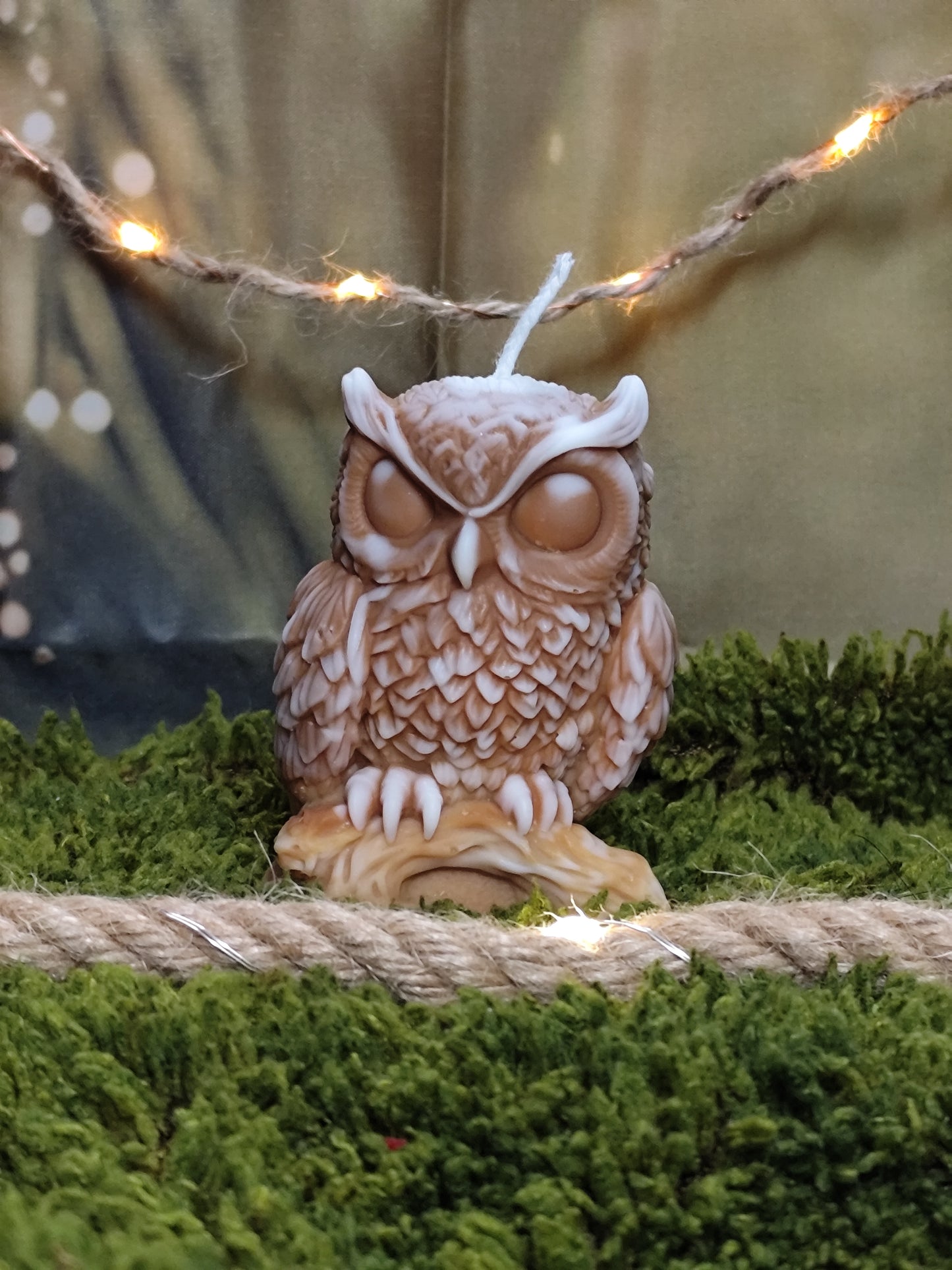 Hibou sur sa branche