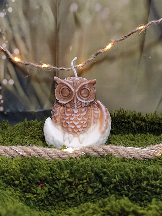 Hibou lune