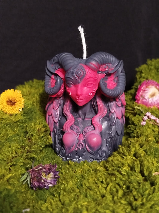 Faune - Mûre Myrtille