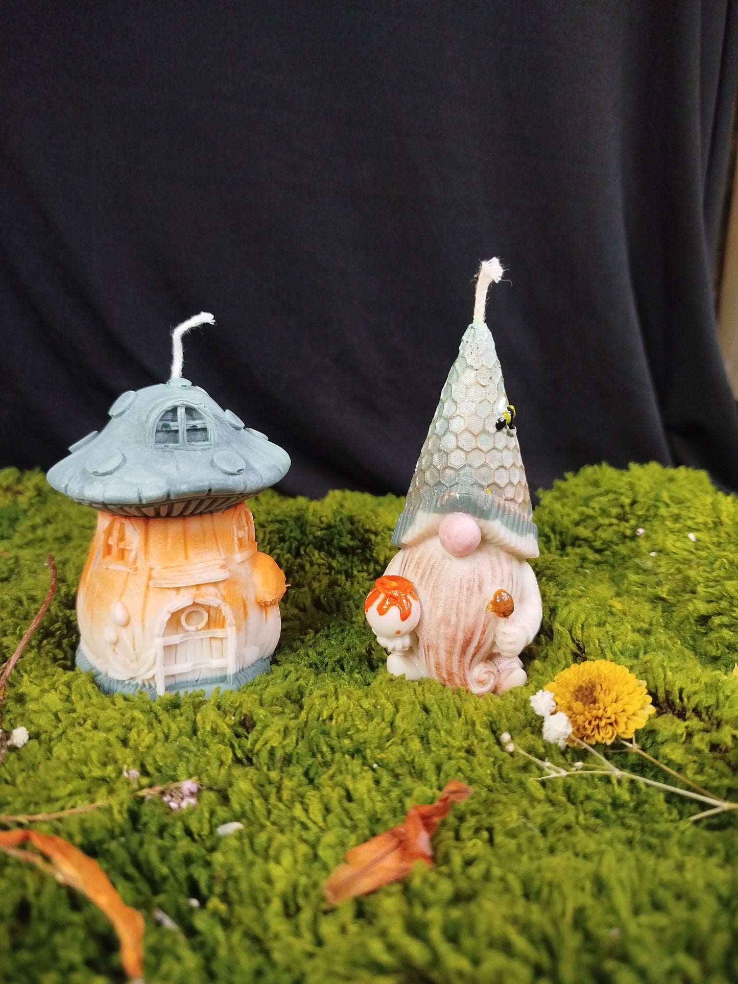 Champignon et son Lutin