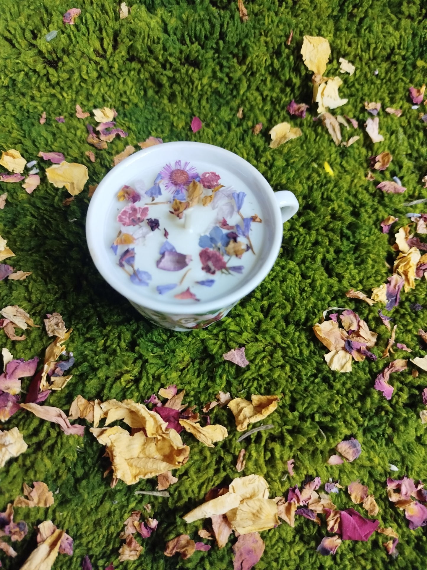 Murmure de violette