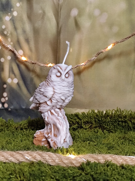 Hibou sur son tronc